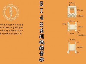 EI48-20（A）48*20热插PET骨架