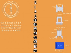 EI35-18非标12*19（G）老改王字P24骨架