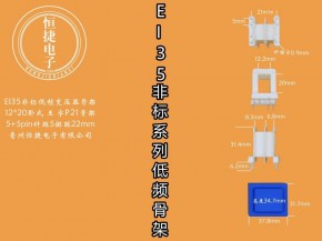 EI35-20非标 12*20（B）王字P21骨架