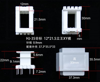 EI35-21非标12*21.5（B）立王(YX)骨架