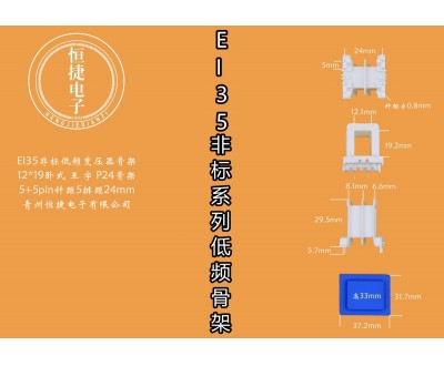 EI35-18非标12*19（G）老改王字P24骨架