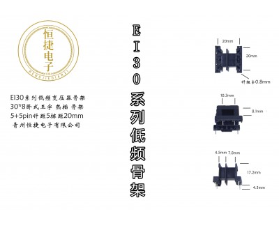 EI30-8 30*8王字骨架