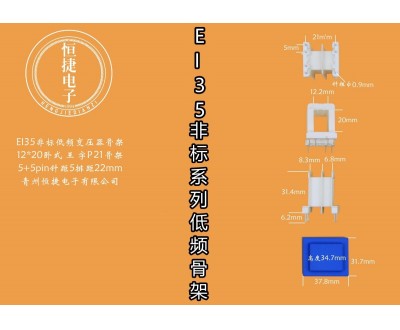 EI35-20非标 12*20（B）王字P21骨架