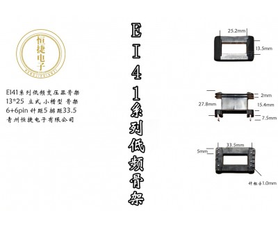 EI41-25 13*25(B) 立小槽骨架