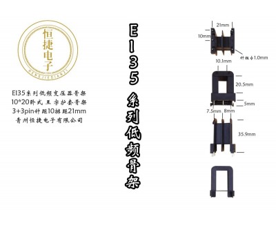 EI35-20 10*20(E) 王字P21骨架