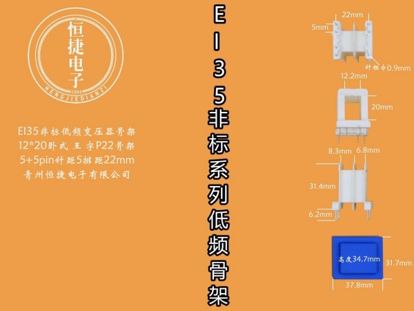 EI35-20非标 12*20(C)王字P22骨架