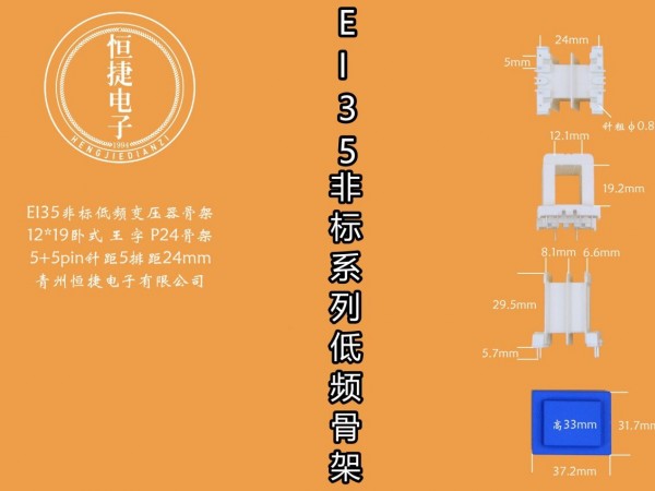 EI35-18非标12*19（G）老改王字P24骨架