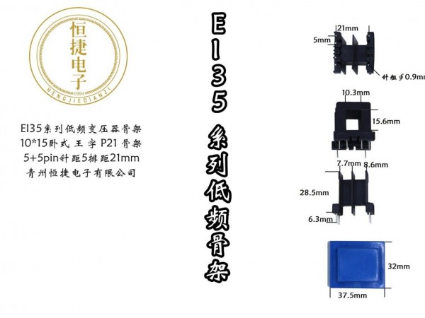 EI35-15 10*15(F) 王字P21骨架