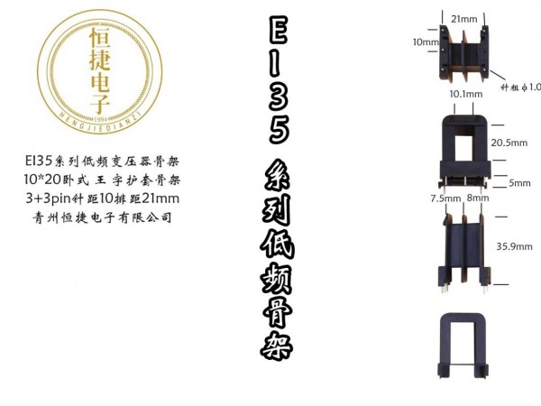 EI35-20 10*20(E) 王字P21骨架